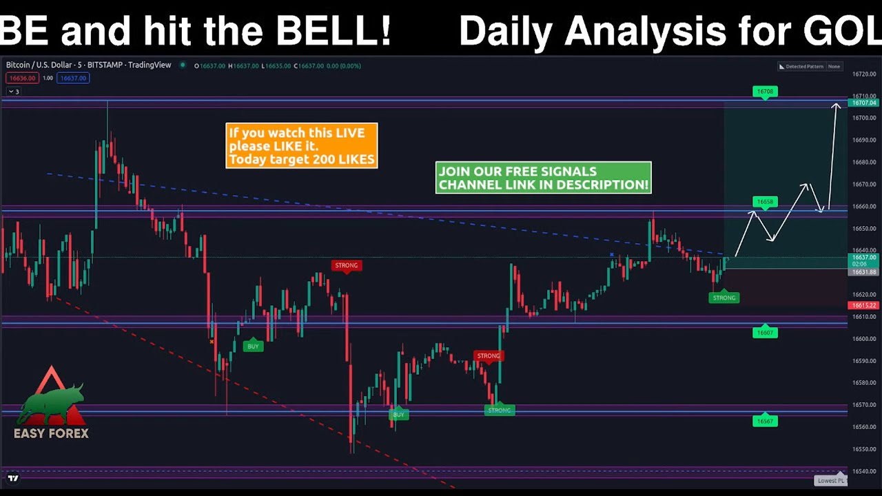 GOLD Live Trading Signals Today #xauusd #gold #forex - YouTube