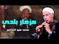 مزمار بلدى محمد السيد النزاوي صعيدي يا بوي صعيدي