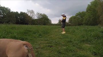 Onagofly Extern and Onboard Video