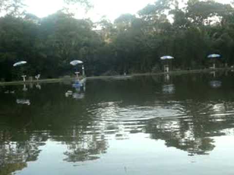 FABPESCA FABPAI, PESQUEIRO AMIGOS DA NATUREZA EM 12/08/2012 008
