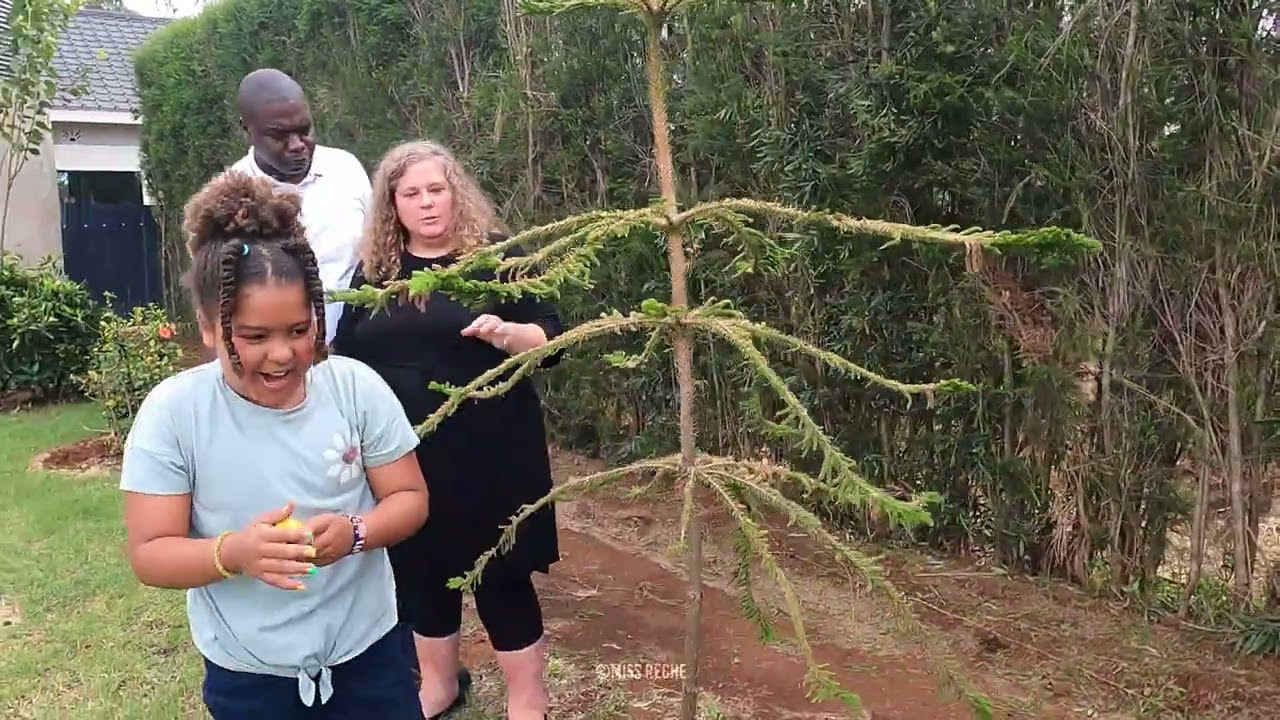 American Wife African Husband Homestead and GARDEN TOUR