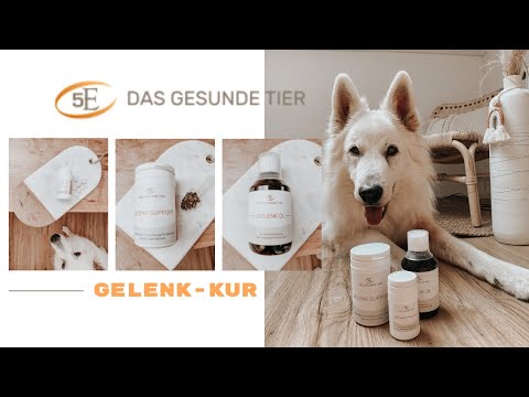 Produkt des Monats: Gelenk-Kur