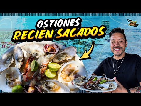 Los Mejores OSTIONES DE MI VIDA con solo $10 pesos | Puerto Peñasco Día 11 #DondeiniciaMexicoLRG Los Mejores OSTIONES DE MI VIDA con solo $10 pesos | Puerto Peñasco Día 11 #DondeiniciaMexicoLRG