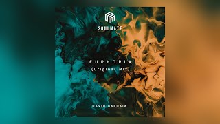 Davit Barqaia - Euphoria | #Soulmatemusic