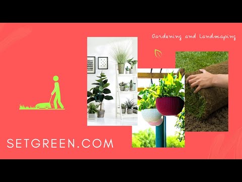 About Setgreen: Buy plants, pots, lawn and essentials online. - video from Setgreen