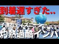 【ディズニーシー】DPA売り切れ、、。9時到着で猛暑&混雑日の子連れインパは最恐でした、、。