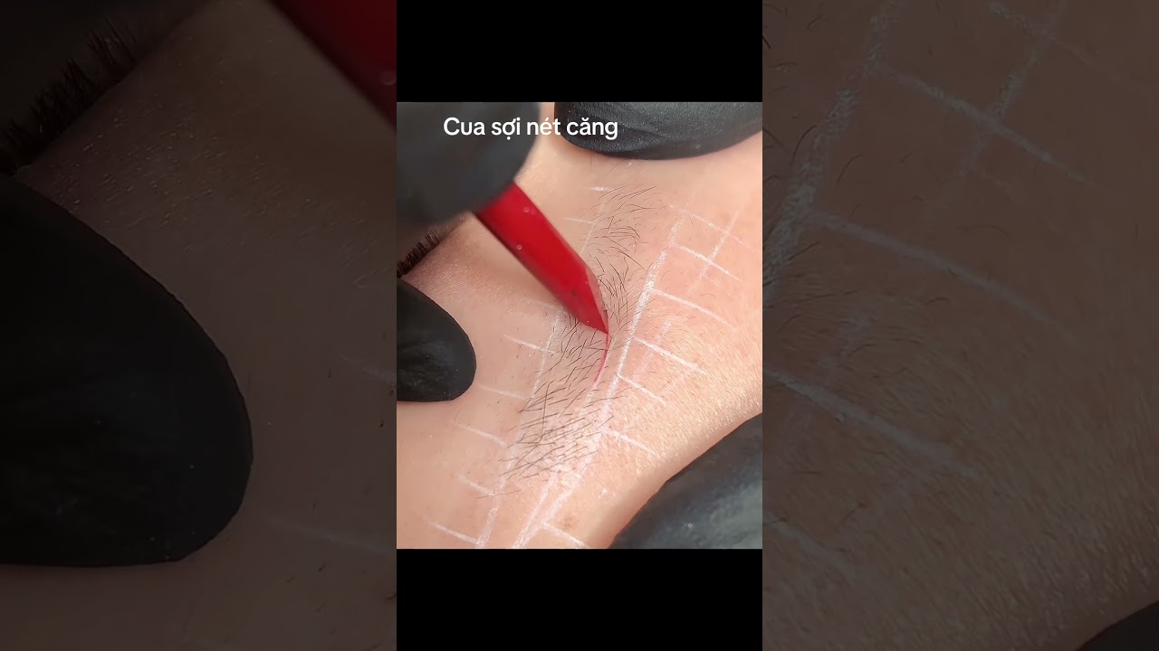 Hairstrokes by Lệ Maria 