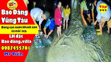 Bao đăng bắt cá Vũng Tàu - đăng cạn nước khách nhặt cá mỏi tay : tâp 455