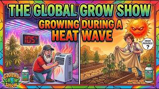 Growing during a Heat Wave - The Global Grow Show