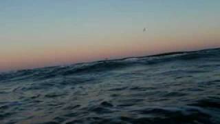 Going For A Swim At The Beach.