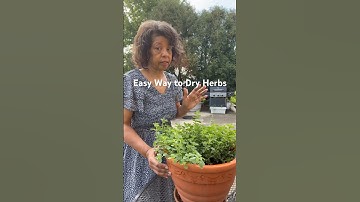 Super Easy Way to Dry Herbs | How to Dry Herbs Without Dehydrator