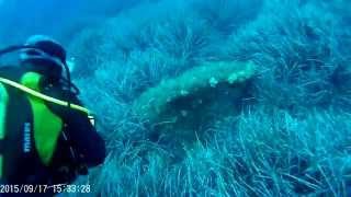 20150917 Diving the Cote D'Azur