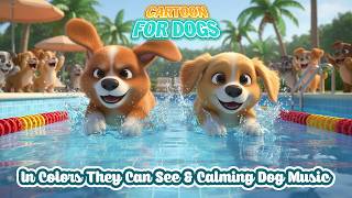 Cartoon for Dogs: Videos All-Day Entertain with Relax Music for Dogs When Home Alone screenshot 5