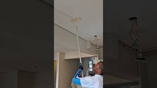 Pintura Forro De Gesso