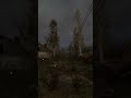 Stalker 2 Rookie Village Ambient