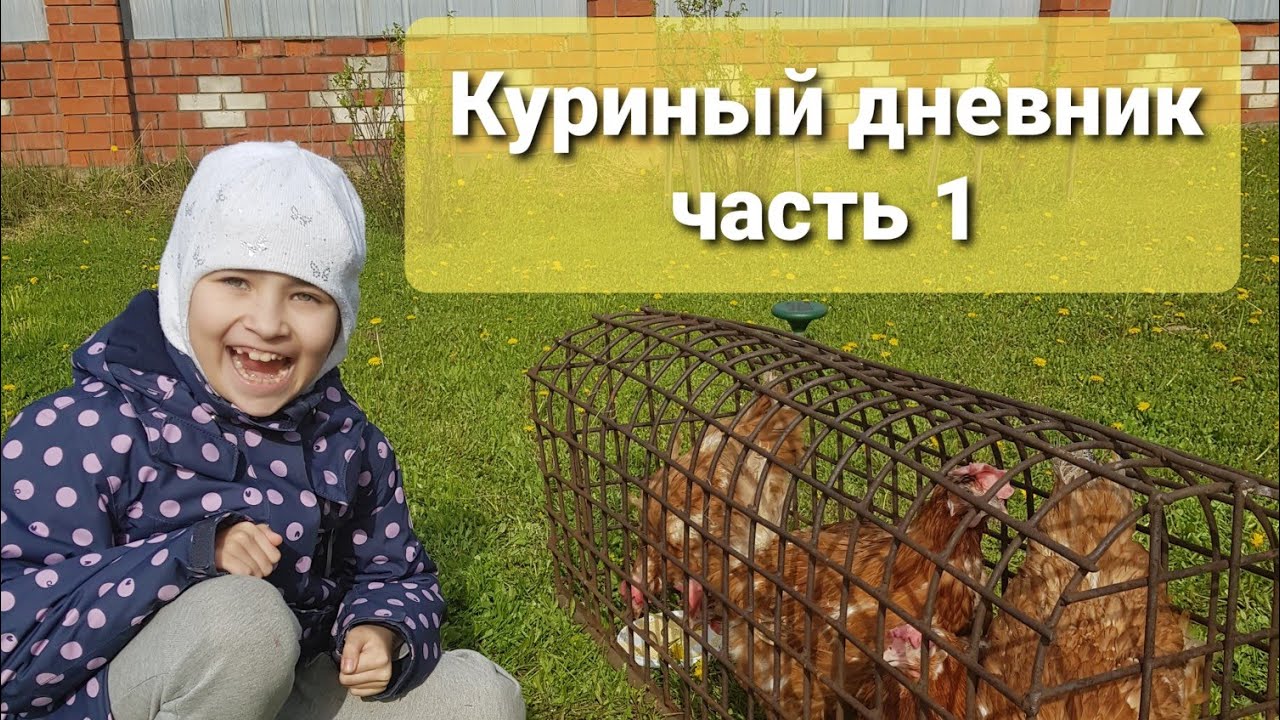 Куриный дневник Часть 1?????????? - YouTube