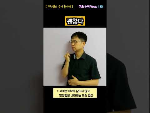 [ 기초 수어 Voca ] 113. 괜찮다 - 수화배우기 [주넌쌤의 수어놀이터]