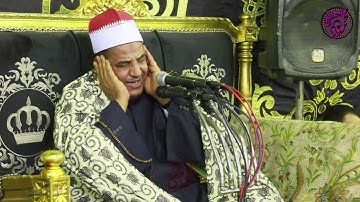 الحلفاوي سورة ابراهيم زكري اربعين الحاج احمد انور 2