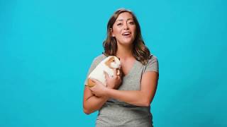 Carefresh Small Animal Pet Bedding