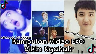 [Part 1] Kumpulan Vidio Tik Tok EXO Yang Bikin Ngakak 🤣😂