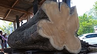 Sawing large teak wood into very beautiful wide sheets || Crazy woodworking.