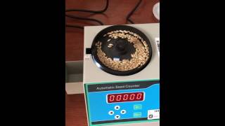 Celebrity Sly C Seed Counter Not Counting Wealth