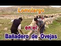 Bañadero  de Ovejas en Lomolargo