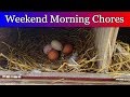 Weekend Morning Chores - January 2019