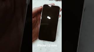 iPhone 12 mini