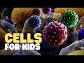 Cells for kids  learn about cell structure and function in this engaging and fun intro to cells