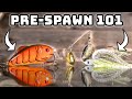 Catch 10x MORE Bass With These Lures! (Pre-Spawn Fishing Tips)