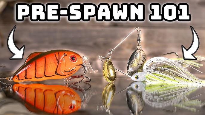 Live Bait & Artificial Lures… Which One Is Best? 