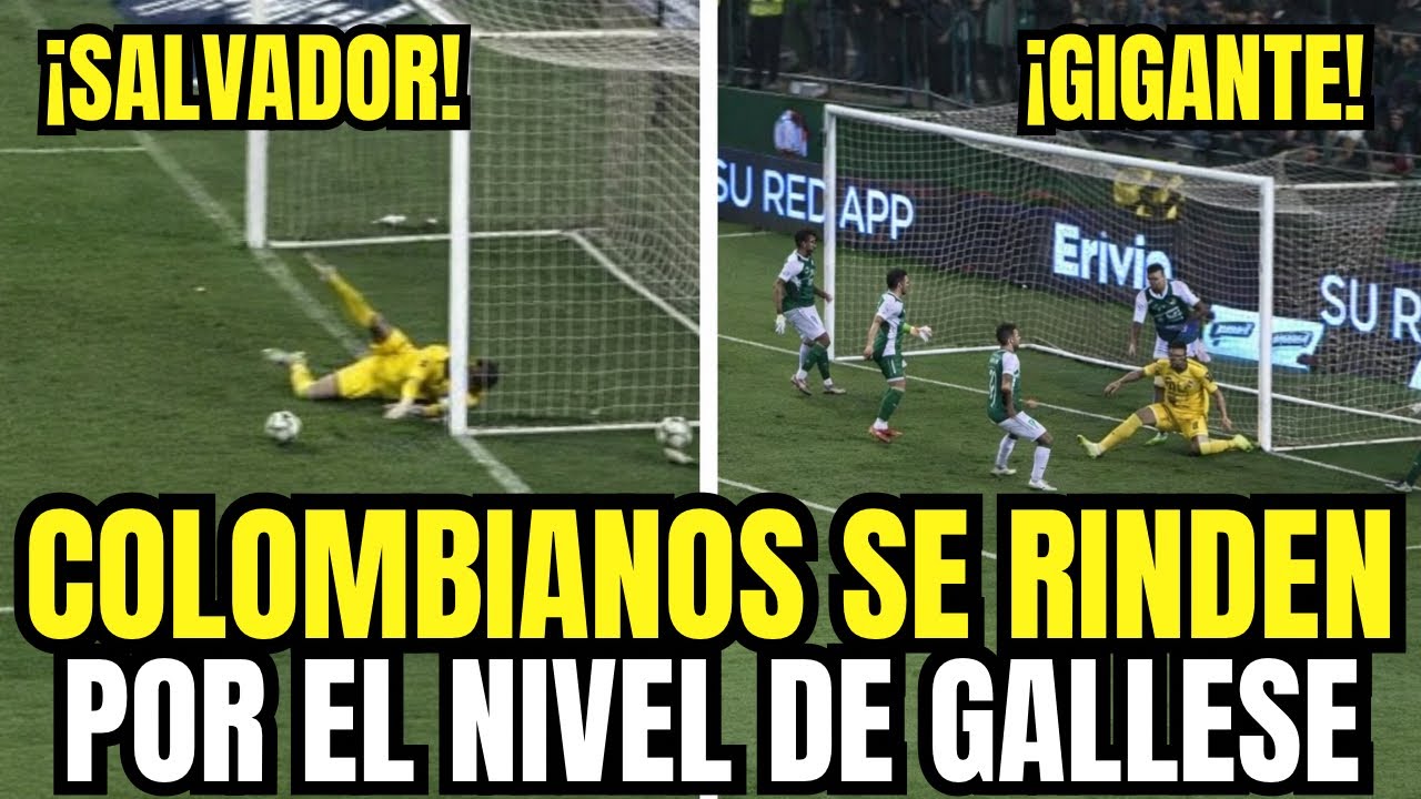 PERIODISTAS E HINCHAS COLOMBIANOS SE RINDEN POR EL NIVEL DE PEDRO GÁLLESE ¡ARQUERO DE SELECCIÓN!