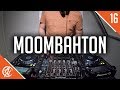 Moombahton Mix 2019 | #16 | The Best of Moombahton 2019 by Adrian Noble