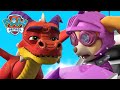 Les chiots Rescue Knight sauvent la princesse Sweetie d'un dragon! - PAW Patrol dessins animés