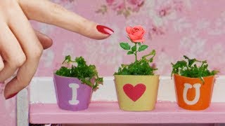 diy miniature plants