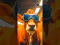 Why These Cows Are Wearing VR Glasses.  #vr #vrglasses #VRGlasses #cows #cowmilk #cowmilking