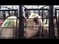 Beginning of video