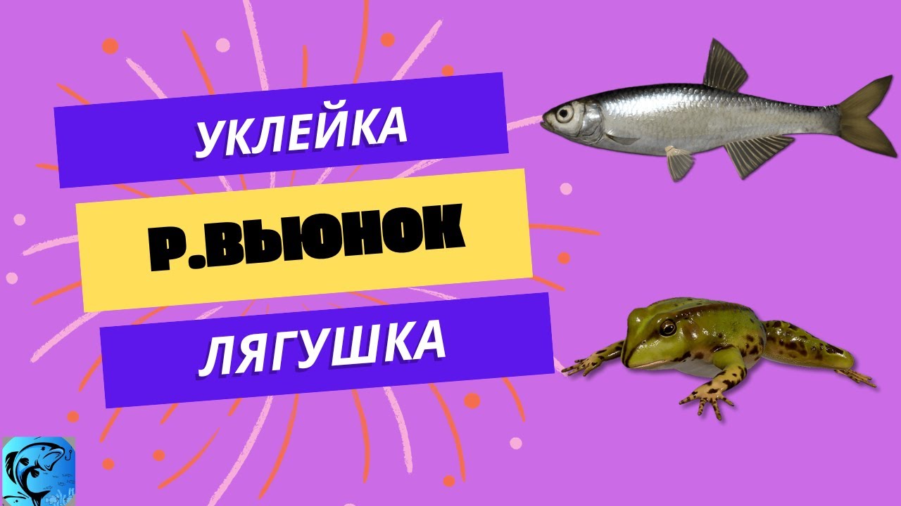 Русская Рыбалка 4. Река Вьюнок. Уклейка. Лягушка на мах. - YouTube