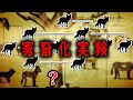 【自然界と真逆】弱い個体同士を40年以上交配させた結果【ゆっくり解説】【雑学】