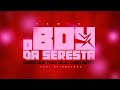 QUERO QUE TUDO SEJA COMO ANTES - O BOY DA SERESTA Feat. ALLANZINHO ( REMIX SERESTA )