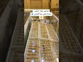 شاهد جمال الذهب عندما يلتقي مع الألماس شاهد جمال الذهب عندما يلتقي مع الألماس