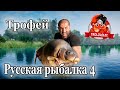 Русская рыбалка 4 Трофей с янтарного озера