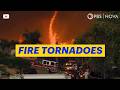 As Megafires Have Become More Common, So Have Fire Tornadoes | NOVA | PBS Mp3 Song
