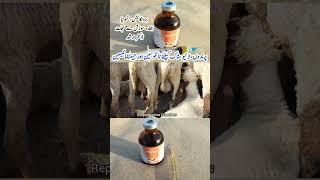 Tylosin Tartrate and Gentamicin Sulfate for Poultry Birds and other Livestock |Tygent Inj|Dr.ARSHAD