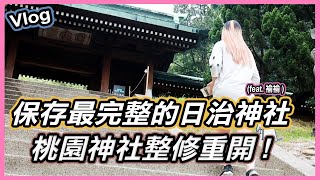 參觀桃園神社|外拍好點重新開放-神社內有哪些值得一看?