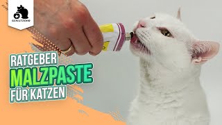 🔥 Malzpaste für Katzen | Vor- und Nachteile | sinnvoll oder schädlich? | Tipps & Tricks by Schlitzohr - Haustierkanal 3,178 views 3 months ago 8 minutes, 15 seconds