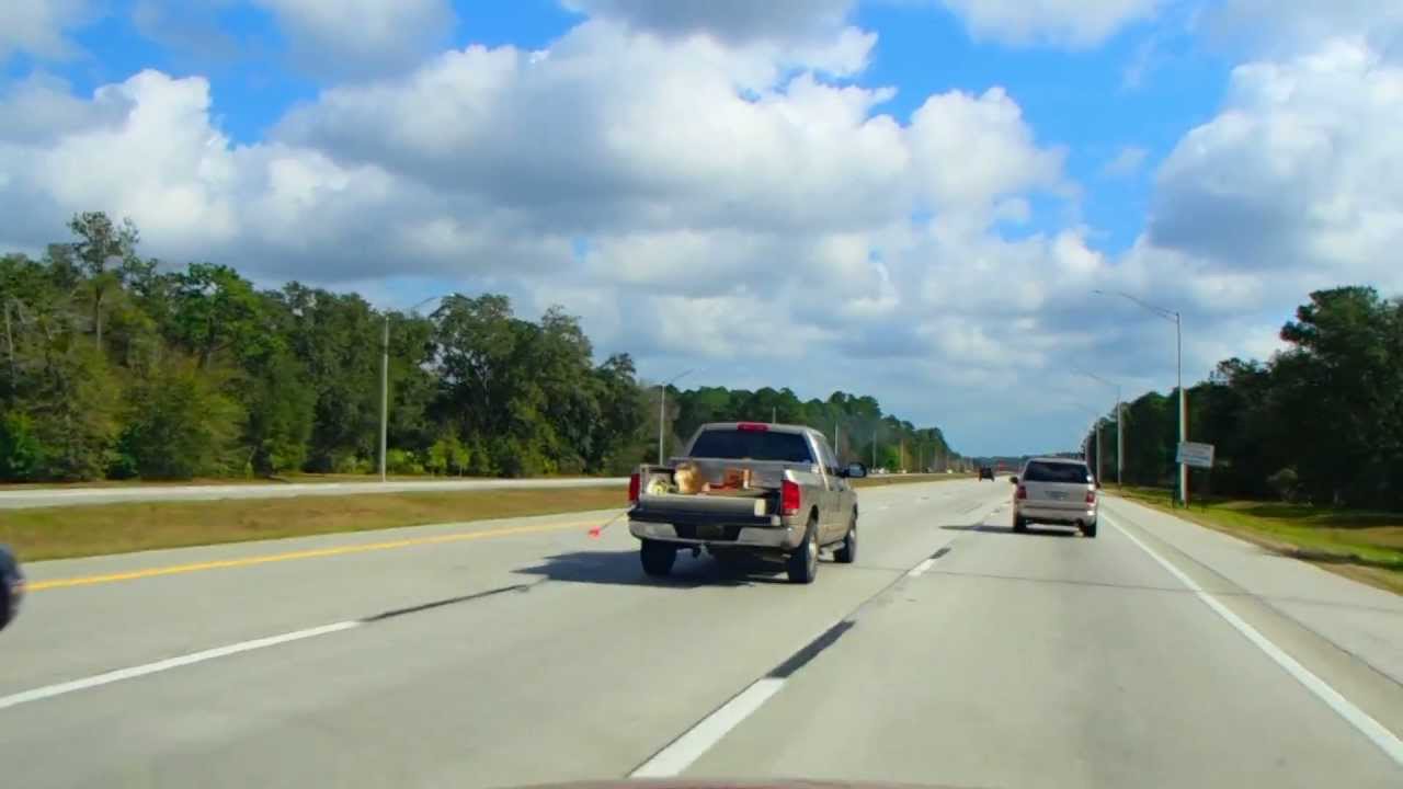 О Жизни в США Jacksonville Florida January 2013 (HD 1080)
