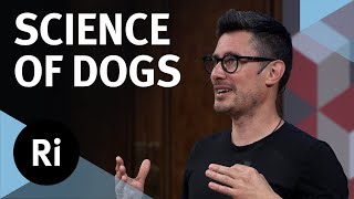 What can science tell us about dogs?  with Jules Howard