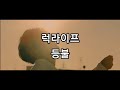 [당신은 나의 등불입니다.] 럭라이프 - 등불 (노래추천/가사/발음/번역) ラックライフ - あかり